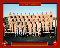 1st BN 23rd Marines 99319 Jan 2011