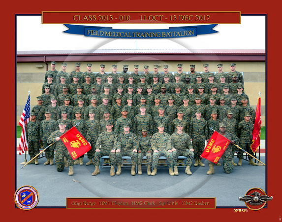 Plt 1