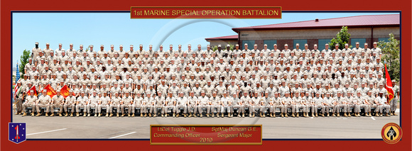 COVER_98289_2010