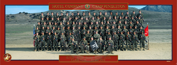 Plt 1
