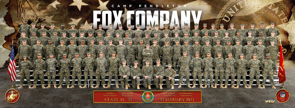 FOX_PLT01