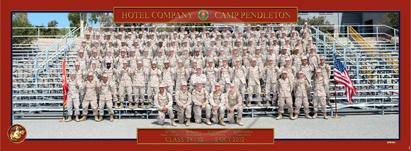 Plt 1