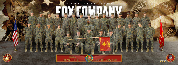 FOX_PLT01