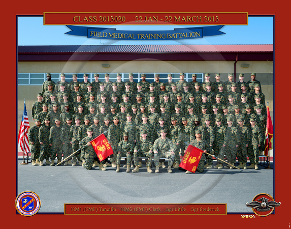 Plt 1