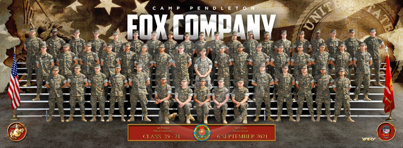FOX_PLT04