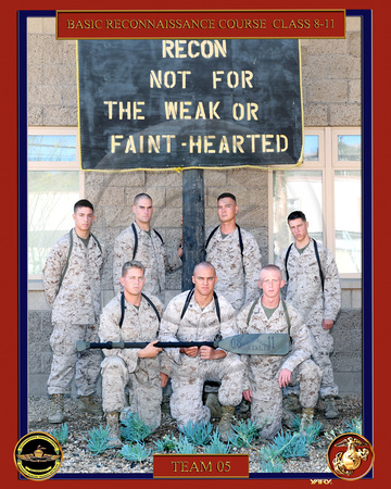 Plt 5