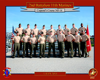 2nd Bn 11th Mar