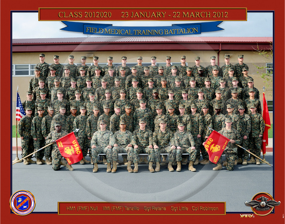 Plt 1