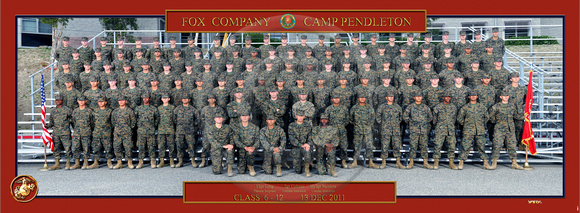 Plt 1